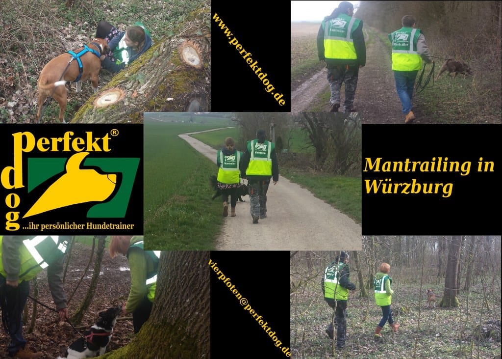 Mantrailing in Würzburg Neuklein