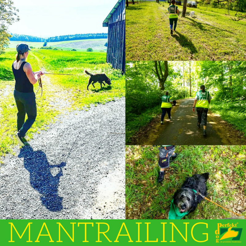 Mantrailing